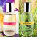 Créez votre parfum dans le cadre unique des serres d'orchidées Vacherot Lecoufle ! 