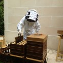 Visite des ruches d'un apiculteur artisan de Bry-sur-Marne