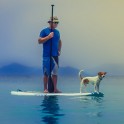 Concours d’élégance pour chiens sur Paddle 