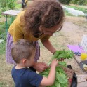 Fabrique ta jardinière de légumes avec V'ile Fertile